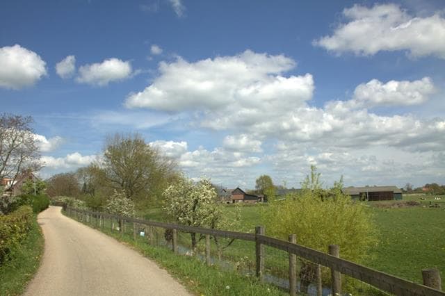 LingeBed Lingedijk